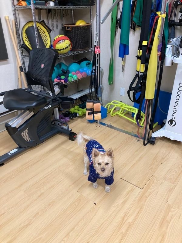 Fluffy in the Healthwell clinic